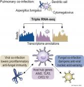 Triple RNA-Seq Reveals Synergy in a Human Virus-Fungus Co-infection Model