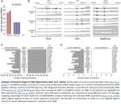 Cancer-Related Mutations Are Not Enriched in Naive Human Pluripotent Stem Cells