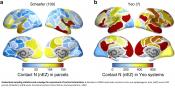 High frequency oscillation to communicate between various brain regions
