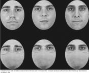 How masks disrupt facial perception