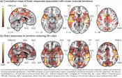 Music-induced emotions can be predicted from brain scans