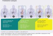 Prediabetes subtypes identified