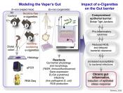 e-Cigarettes trigger inflammation in the gut