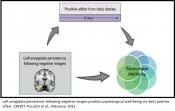 Negative mood linked to prolonged amygdala activity