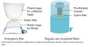 Filters from tree branches to purify drinking water