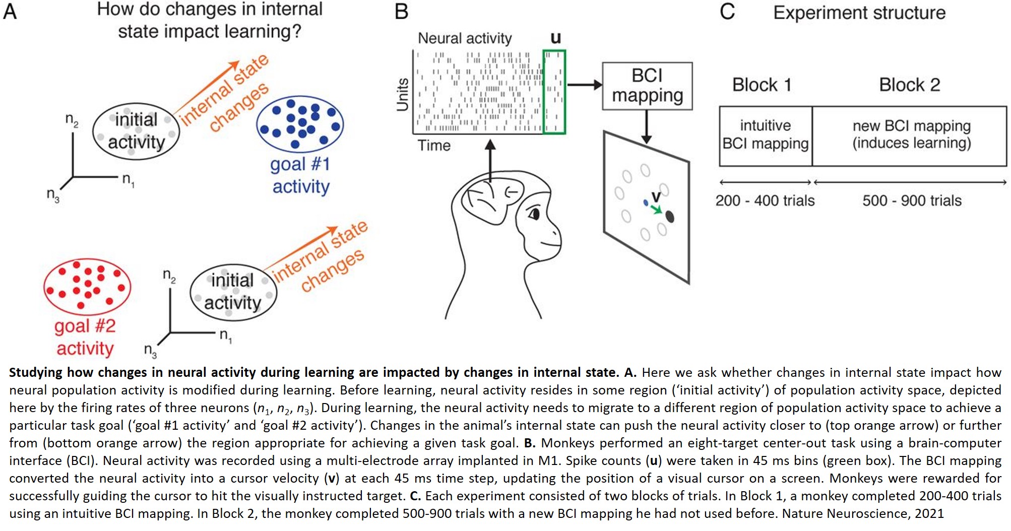 How changes in neural engagement helps in learning