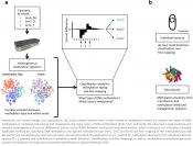 DNA methylation from bacteria &amp; mircobiome using nanopore technology