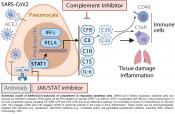 Role of complement system in COVID-19