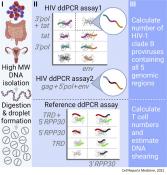 ddPCR assay detects reservoir of virus in HIV patients