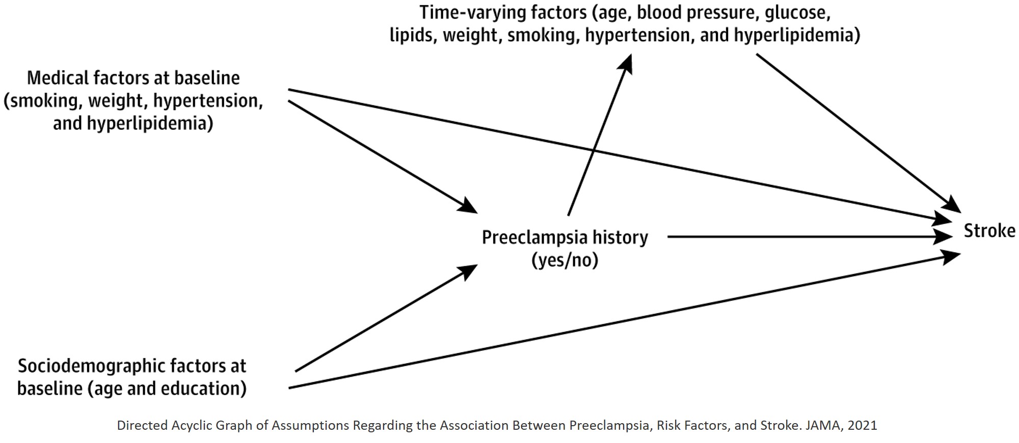 Preeclampsia during pregnancy increases stroke risk later in life