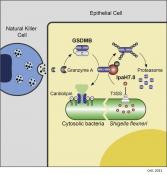 Pathogenic mechanism to counteract host defense