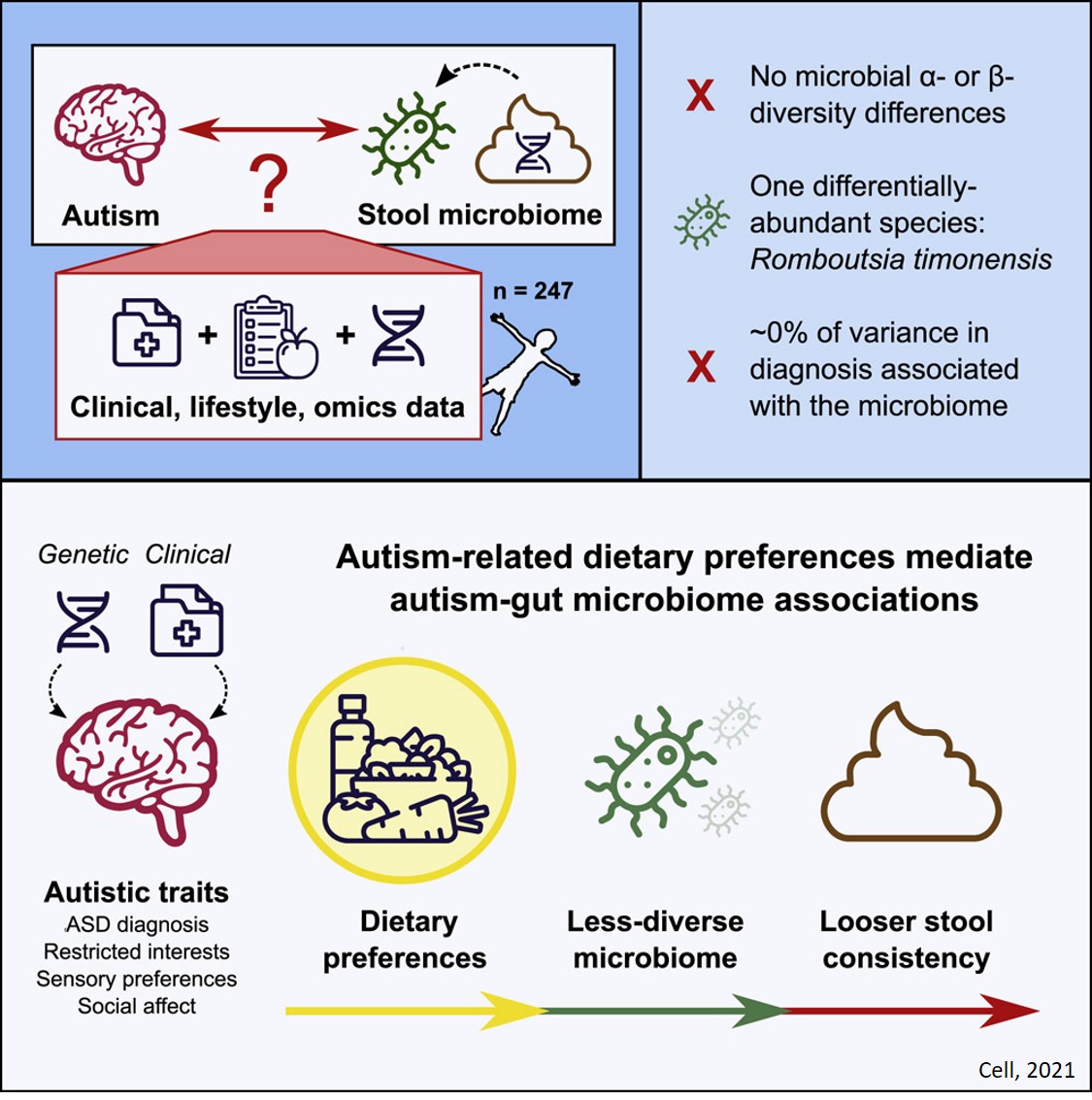 Dietary preferences may explain the gut microbiota differences in autism