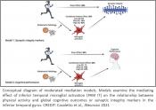 Physical activity reduces microglial activation and lowers brain inflammation in Alzheimer&#039;s disease 