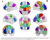 Brain differences in compulsive video game players