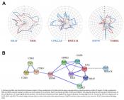 Mapping cancer&#039;s &#039;social networks&#039; 