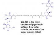 Saffron-Based Crocin Prevents Early Lesions of Liver Cancer