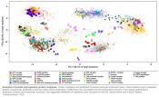 A draft map of the mouse pluripotent stem cell spatial proteome