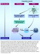 Link between blood coagulation and CNS autoimmunity