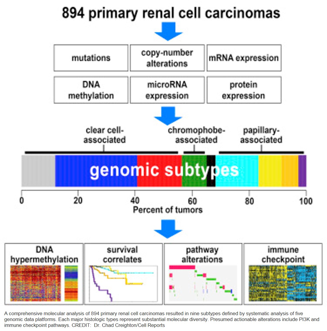 Reclassification of kidney cancer into nine subtypes