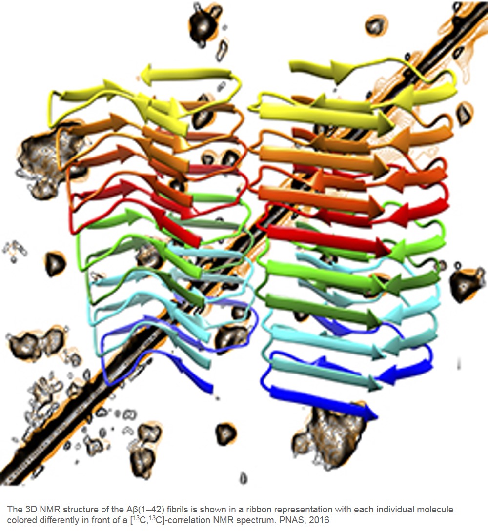 3D structure of Alzheimer&#039;s disease-associated amyloid fibril