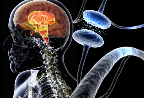 Scientists &nbsp;correct motor symptoms in Parkinson&#039;s