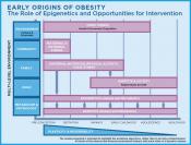 Parental obesity linked to delays in child development