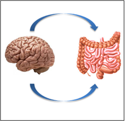 &#945;- synuclein- from brain to gut