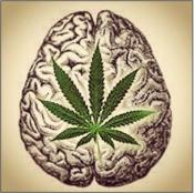 Cannabis- &nbsp;medication against addiction