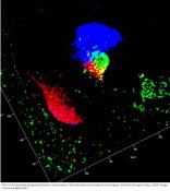 Reprogramming of liver cells to pancreas progenitor cells based on a single factor