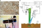 Remote detection of buried landmines using a bacterial sensor