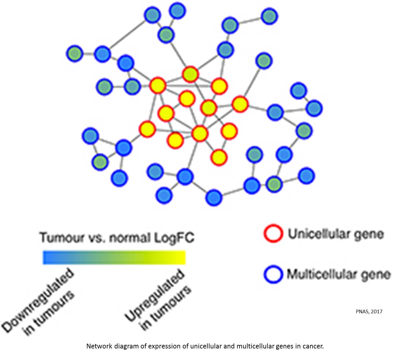 Cancer and partitioning of gene function
