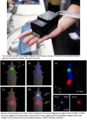 Multicolor 3-D in vivo imaging using ultra-compact Compton camera 