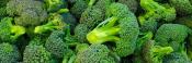 Broccoli extract controls glucose levels in type 2-diabetes