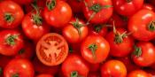 Diet rich in tomatoes cuts skin cancer in half in mice