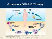 FDA Approves Personalized Cellular Therapy for Advanced Leukemia
