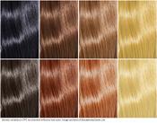 Genetic variations in ion channels influence human hair color