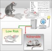 Electrical activity networks in brain predict vulnerability to depression