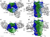 Crystal structure of nicotinic acid receptor unraveled!
