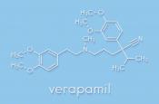 Positive results in human clinical trials with verapamil to treat type I diabetes