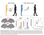 Poor sleep triggers viral loneliness and social rejection