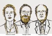 Nobel Prize for Chemistry goes to &quot;directed evolution of enzymes and phage display&quot;
