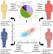 Health risk prediction from metabolome in obese people