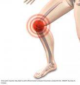 Why knee joint injury leads to osteoarthritis