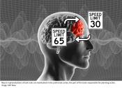 How brain maintains cognitive flexibility