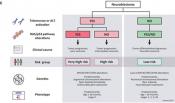 A mechanistic approach to neuroblastoma prognosis and risk