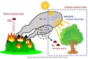 Fire air pollution weakens global ecosystem productivity