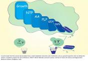 Methionine, an essential amino acid controls cell growth programs