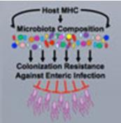 Controlling individual&#039;s unique microbial fingerprint
