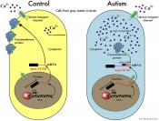Widespread RNA editing changes in patients with autism