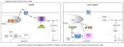 Folliculin mutations disrupt embryo implantation